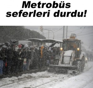 metrobus1jpg-191143663