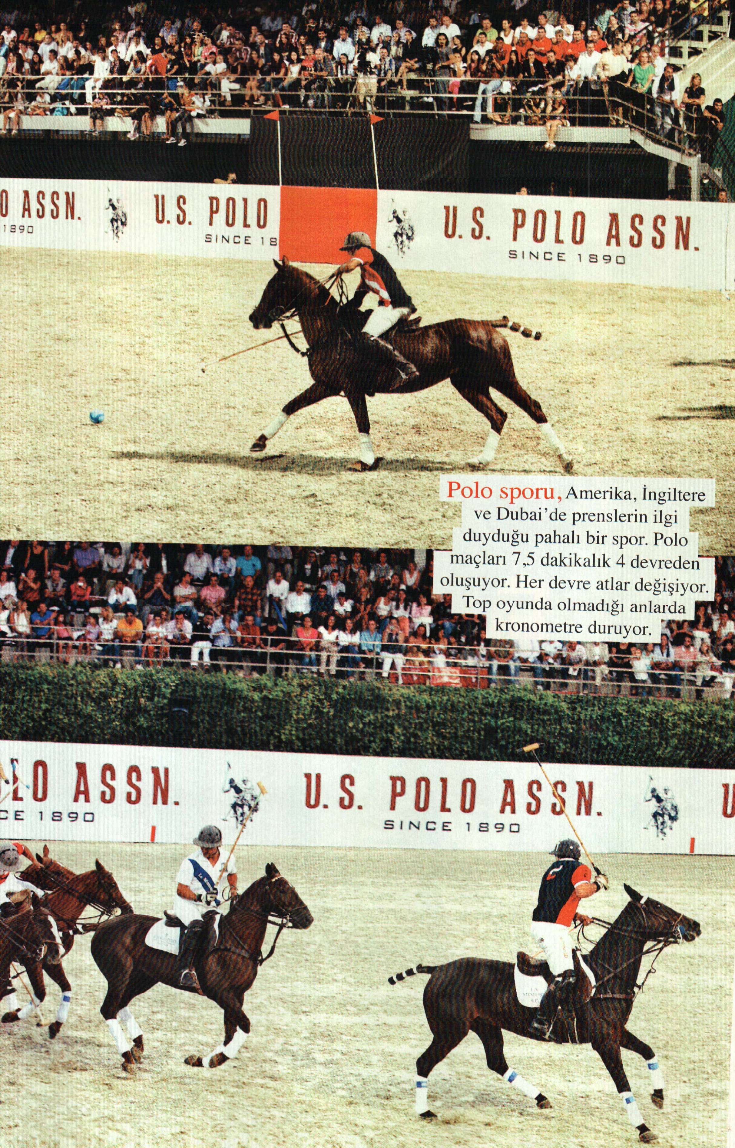 US Polo Association