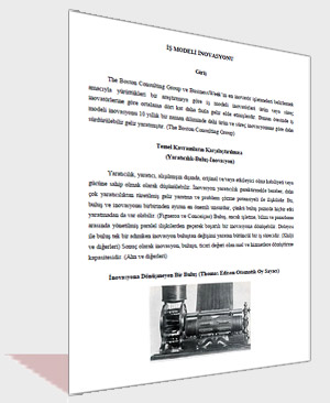 alphanmanas_BLOG_ismodeli_inovasyonu alphanmanas_BLOG_ismodeli_inovasyonu